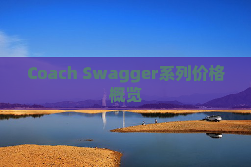 Coach Swagger系列价格概览